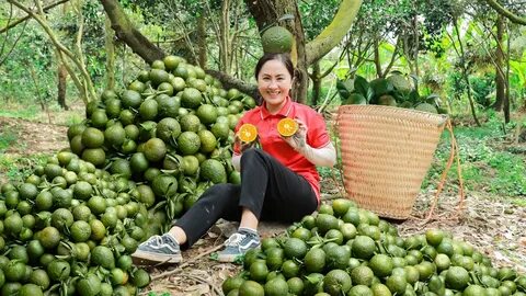 Video ngắn – Giải pháp truyền thông thông minh cho doanh nghiệp nhỏ